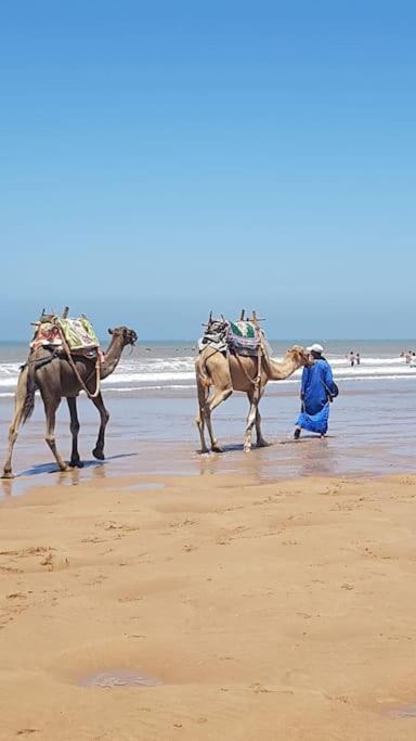 Charmant Riad Pour Familles Ou Groupes - Dar Mama Essaouira Luaran gambar